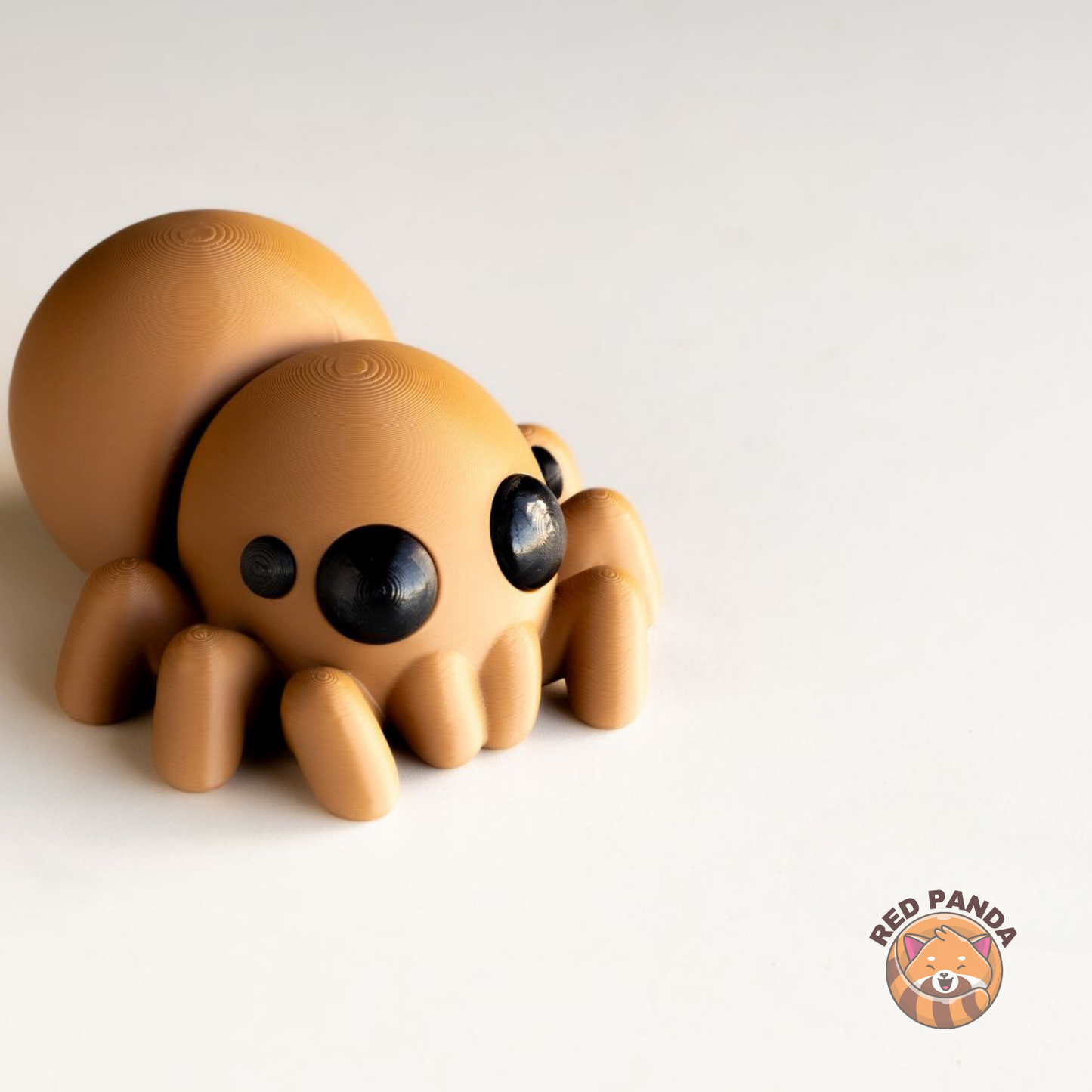 Baby Spider